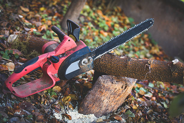 Best Commercial Tree Services  in La Crescenta Montrose, CA